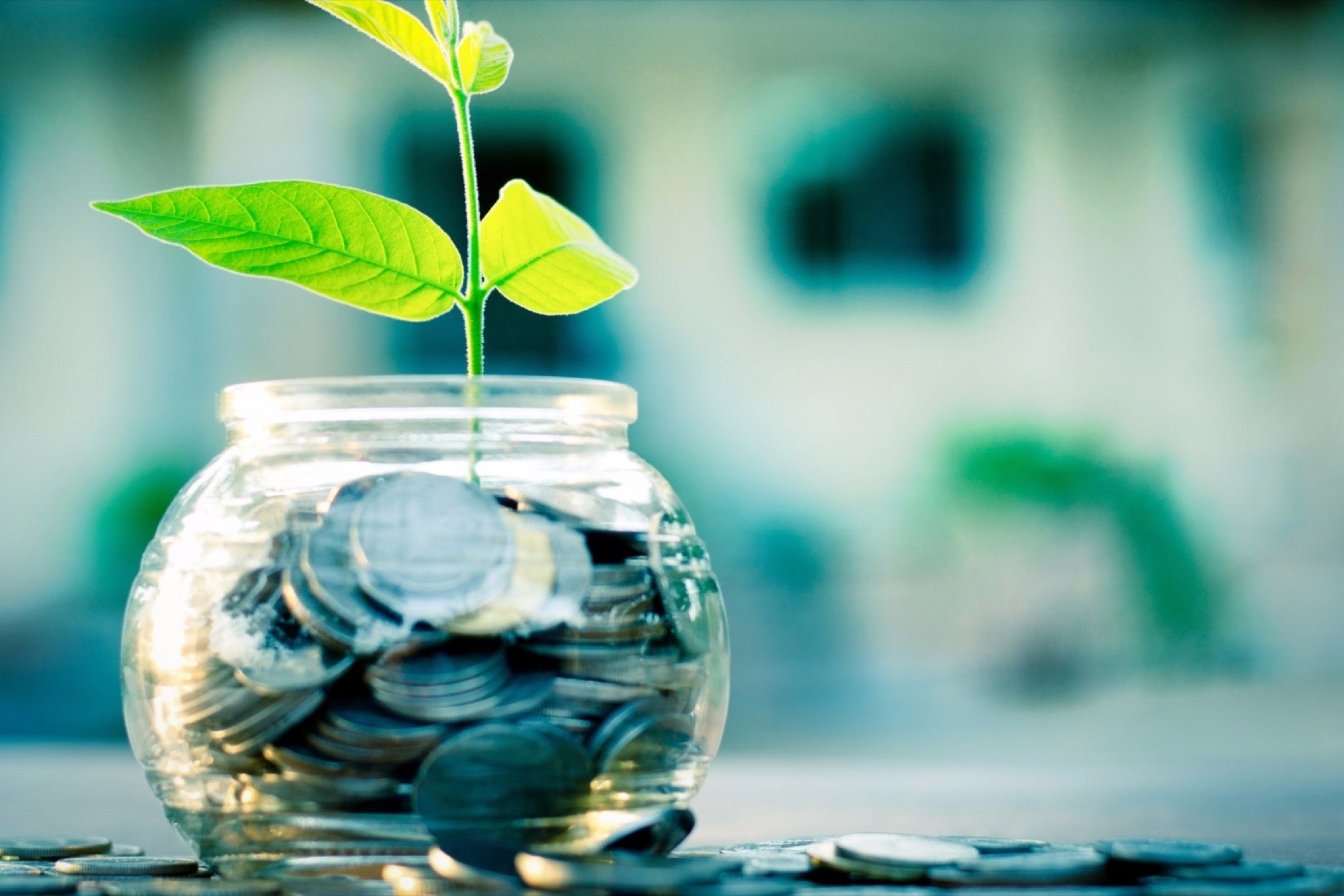 Neo Special Credit Opportunities Fund